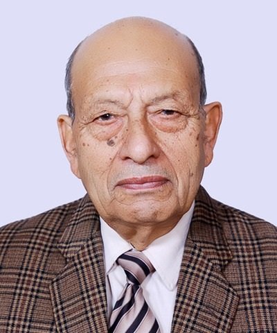 Prof. Parthibeshwar Prasad Timilsina